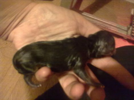 20110812843.jpg 20110812843.jpg