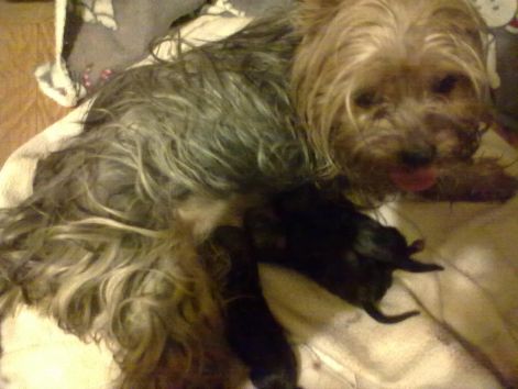 20110812856.jpg 20110812856.jpg