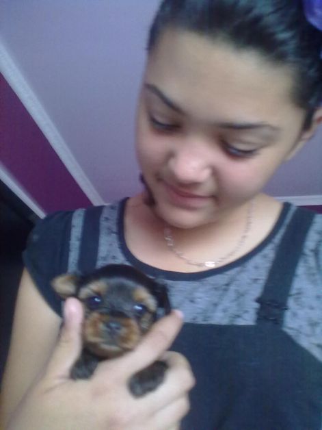 201109101121.jpg 201109101121.jpg