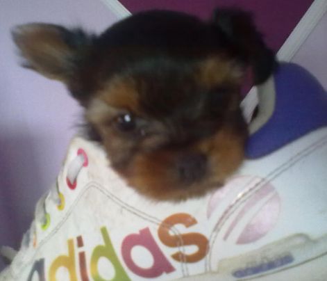 201109171139.jpg 201109171139.jpg