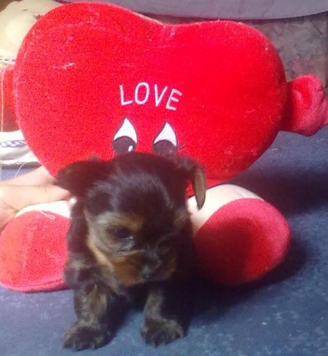 201109171162.jpg 201109171162.jpg